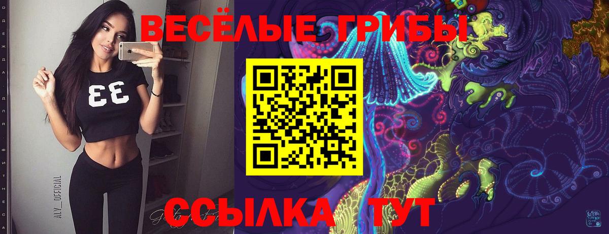Псилоцибиновые грибы GOLDEN TEACHER Бирск