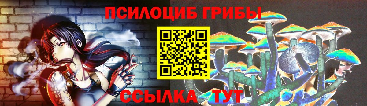 закладки  Галлюциногенные грибы Magic Shrooms  Вход с VPN  Бирск 